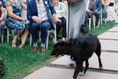 AnnaZachary-Wedding-Favs-586