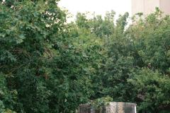 AnnaZachary-Wedding-Favs-613