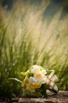 Lauren and Jeff Wedding - Adrienne Maples Photography