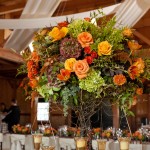 Melissa and Casey - Adrienne Maples Photography