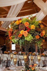 Melissa and Casey - Adrienne Maples Photography