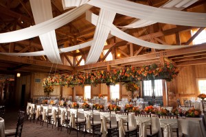 Melissa and Casey - Adrienne Maples Photography