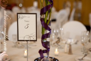 Katie and Josh Wedding - Adrienne Maples Photography
