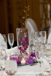 Katie and Josh Wedding - Adrienne Maples Photography