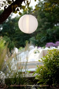 Lauren and Jeff Wedding - Adrienne Maples Photography