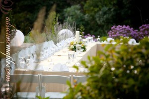 Lauren and Jeff Wedding - Adrienne Maples Photography
