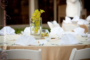 Lauren and Jeff Wedding - Adrienne Maples Photography
