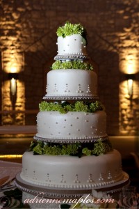 Lauren and Jeff Wedding - Adrienne Maples Photography