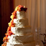 Melissa and Casey - Adrienne Maples Photography