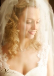 Bridget and Scott Wedding - VanDeusen Photography
