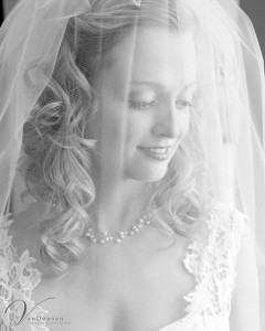 Bridget and Scott Wedding - VanDeusen Photography