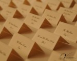 Bridget and Scott Wedding - VanDeusen Photography