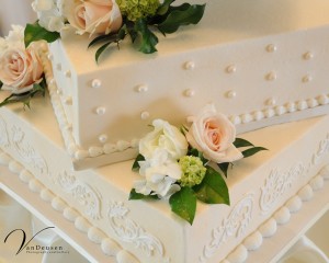 Bridget and Scott Wedding - VanDeusen Photography