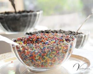 Bridget and Scott Wedding - VanDeusen Photography