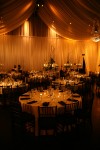 Lauren and Tim Wedding - David Riffel Photography