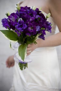 Liz and Marc Wedding - K Dog Photography