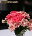 Mandy and Steve Wedding - Freeland Photography