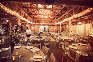 Meaghan and Justin Wedding - Katie Day Photography