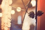 Meaghan and Justin Wedding - Katie Day Photography