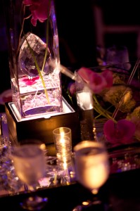 Amber and Gary Wedding - Viva Luma Photography