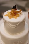 Jenny and Kevin Wedding - Kenny J Photography