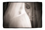 Lanie and Brent Wedding - Steve Willis Photography