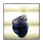 Lanie and Brent Wedding - Steve Willis Photography