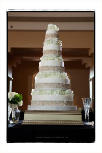 Lanie and Brent Wedding - Steve Willis Photography