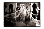 Lanie and Brent Wedding - Steve Willis Photography
