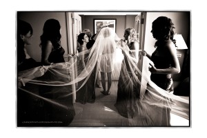 Lanie and Brent Wedding - Steve Willis Photography
