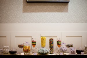 Kelli and Brett Wedding - Blixt Photography