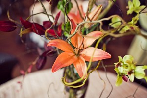 Kate and Blaise Wedding - Katie Day Photography