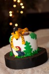 Nina and Jon Wedding - Paul Verslius Photography
