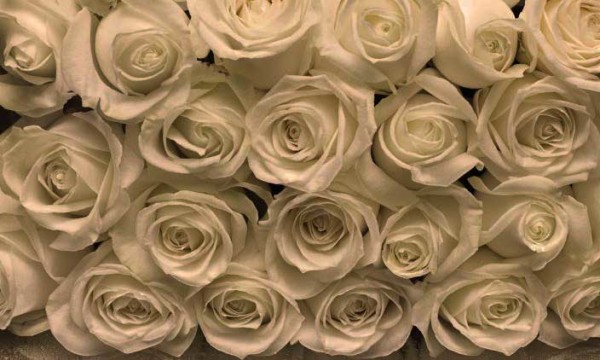 wedding venues in kansas city
