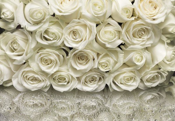 kansas city event planner