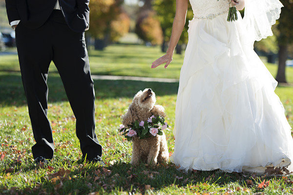 natalie+rob466