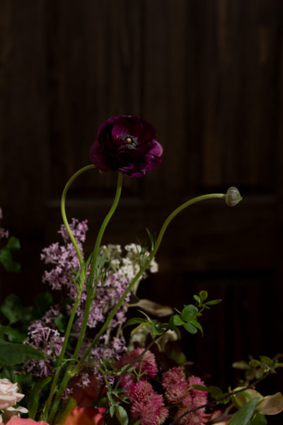 AM1_2940simplicityflower