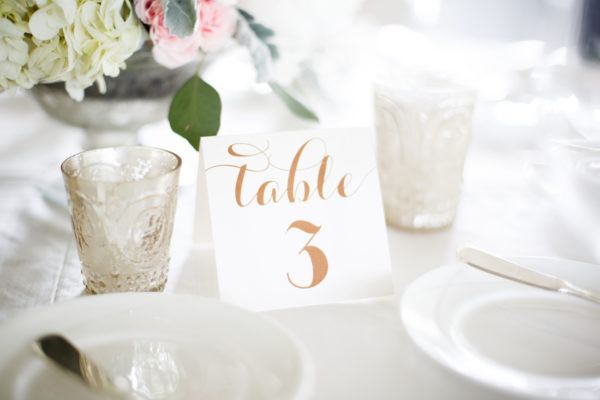 SimpleEleganceWeddingPlanners_Melissa-Jeff_AleaLovelyPhotography647A0267