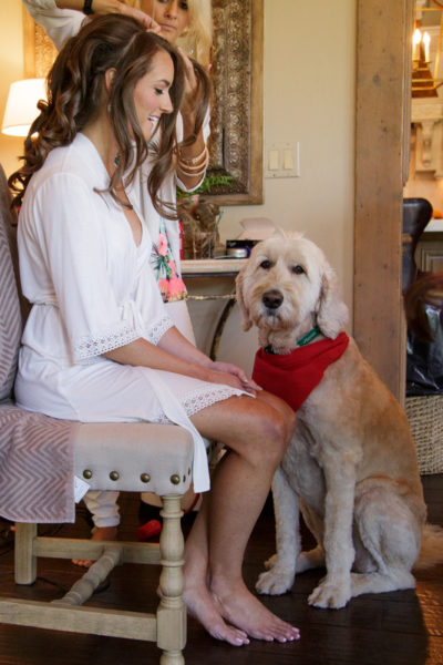 Madison + Taylor - Simple Elegance WeddingMadison + Taylor - Simple Elegance Wedding12