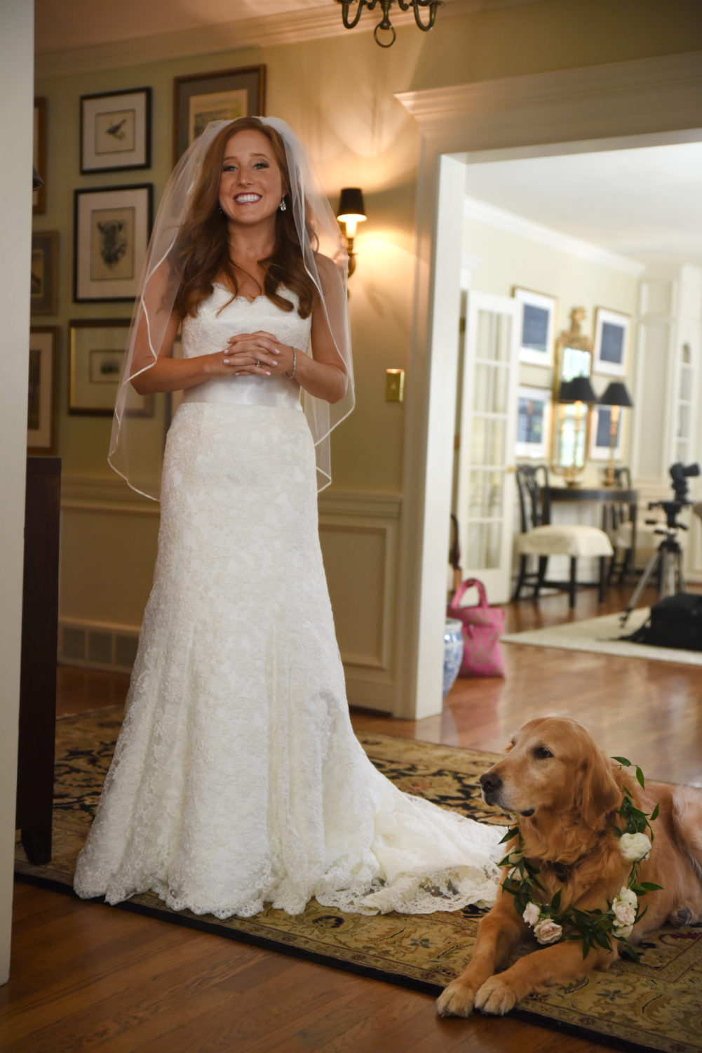 Bride and decorated wedding dog