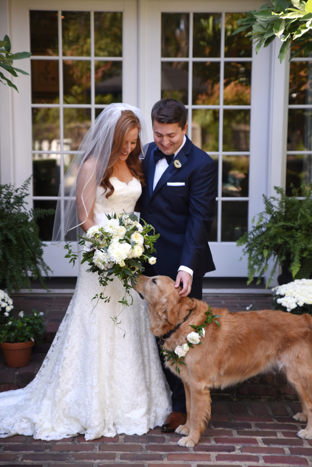 pets and weddings