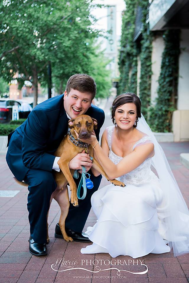 kansas city wedding planner