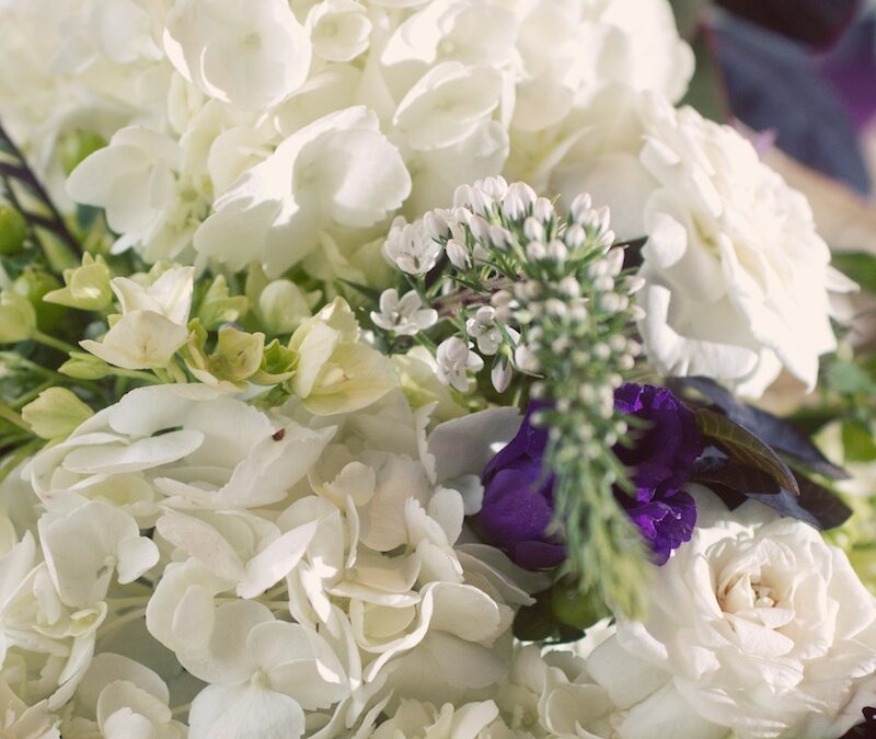 Lauren and Jay Wedding – Photo Mementos