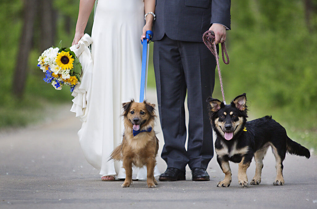 Nicole + Collin – Rustic Hallbrook Country Club Wedding