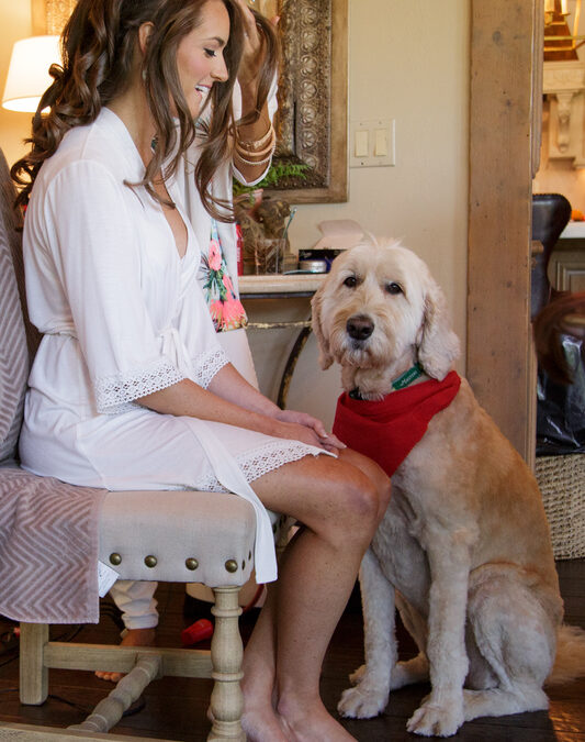 Madison + Taylor – Simple Elegance WeddingMadison + Taylor – Simple Elegance Wedding12