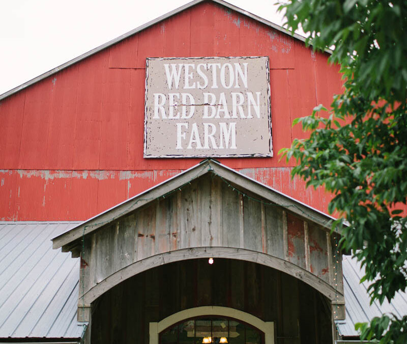 cori-doug_we-are-the-parsons-photography_019