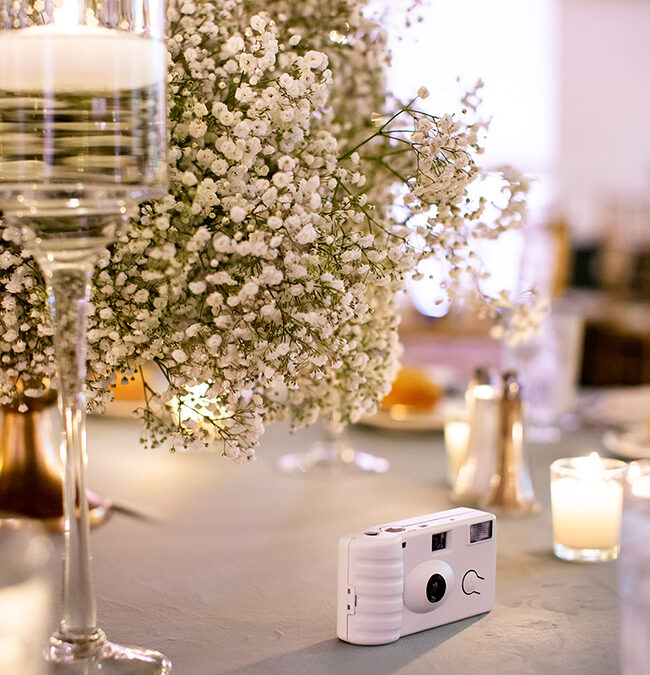 The Hanerhoff Wedding