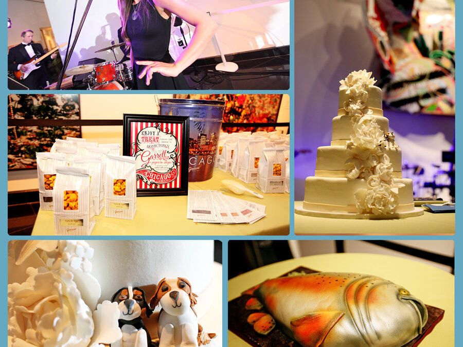 katie-rec