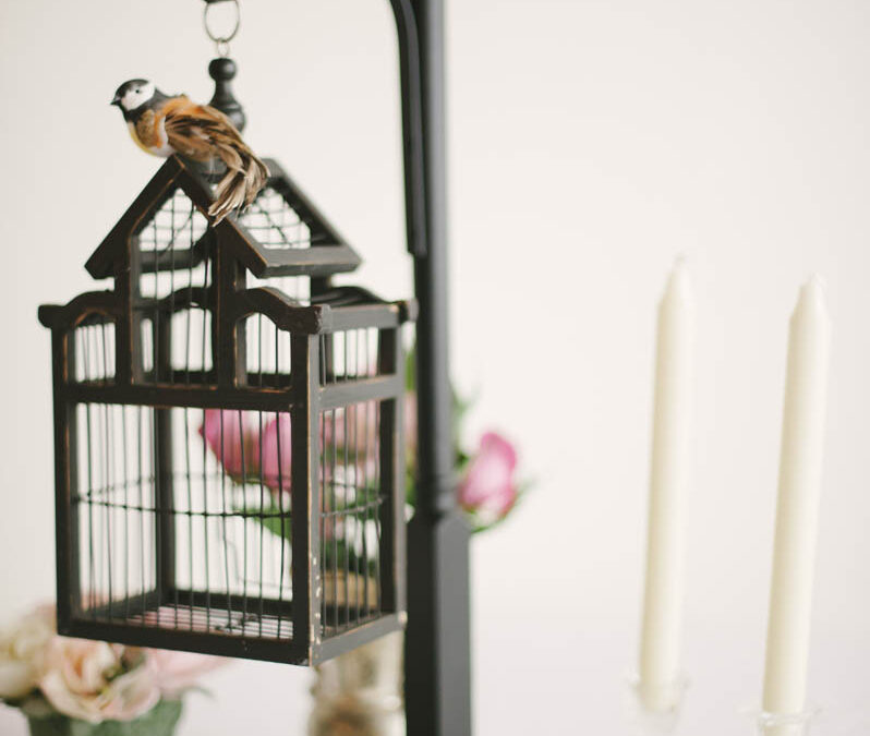 morgan-rob_beautiful-isolations-photography_023