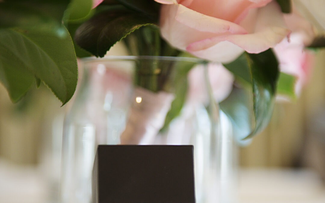 natalie+rob074